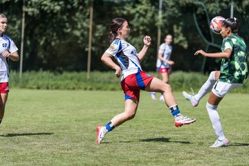 Bild 202 - wBJ Hamburger SV - VfL Wolfsburg : Ergebnis: 5:1